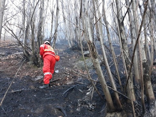 Cessa l'emergenza per gli incendi boschivi Cessa l'emergenza per gli incendi boschivi