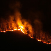 Foto di Giulia Martini