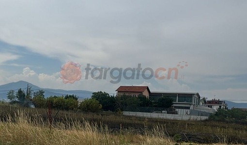 In fiamme un campo di grano tra Tarantasca e Busca: vigili del fuoco in azione