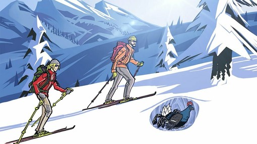 Coppa Kleudgen - Acquarone 2026: Apam e Cai Imperia insieme per lo sport e la conservazione