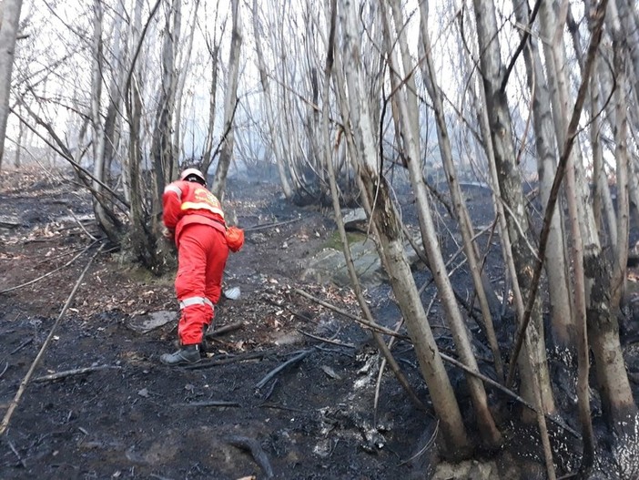 Cessa l'emergenza per gli incendi boschivi Cessa l'emergenza per gli incendi boschivi