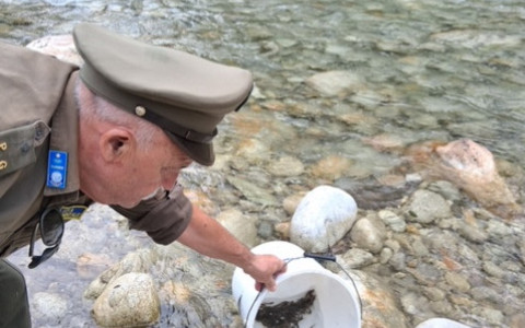"L’immissione di trote iridee femmine salva la stagione della pesca in Granda"