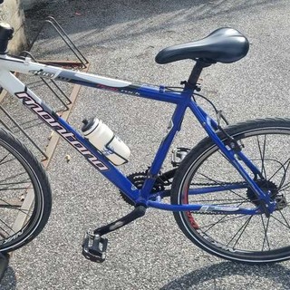La bicicletta dell'uomo