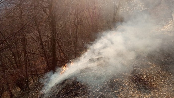 Immagine di repertorio Immagine di repertorio