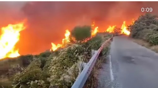 Vigili del fuoco della Granda nell'inferno della Calabria: &quot;Tantissimi roghi, la situazione è drammatica&quot; [VIDEO]