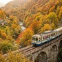 Treno del Foliage: 52 chilometri tra i colori dell'autunno