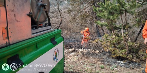 Incendio boschivo in località Forani di Aisone, intervento di vigili del fuoco e AIB