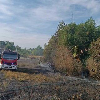 Chiusa Pesio, vasto incendio di sterpaglie in Regione Vigne Soprane: intervenuti quattro mezzi Chiusa Pesio, vasto incendio di sterpaglie in Regione Vigne Soprane: intervenuti quattro mezzi