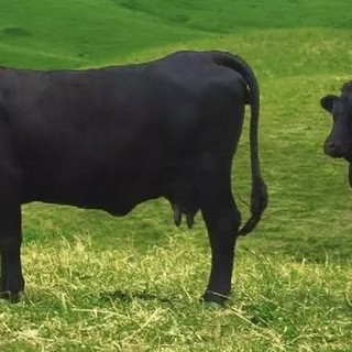 Unitre Cuneo, due appuntamenti tra fede e tradizioni d’Italia