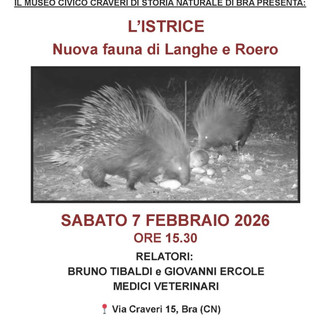 “L’istrice. Nuova fauna di Langhe e Roero”: se ne parla al Museo Craveri di Bra