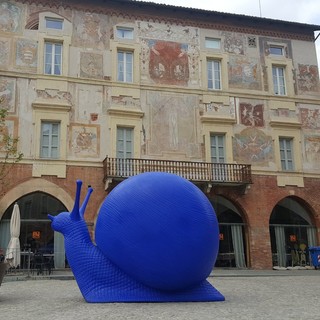 Una lumaca gigante in piazza Maggiore (immagine tratta dal gruppo Facebook &quot;Sei di Mondovì se...&quot;)