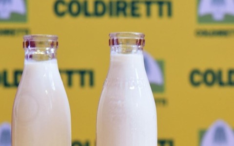 Latte, Coldiretti Cuneo: "Necessario valorizzare la produzione locale"