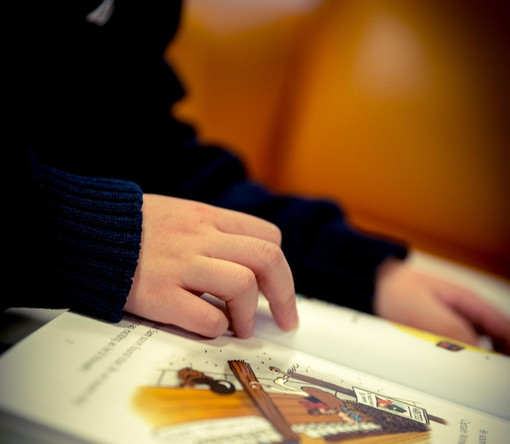 Credits laterjay Pixabay