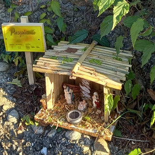 Bra, il Lions Club Bra Host accende il Natale con un programma di eventi speciali Bra, il Lions Club Bra Host accende il Natale con un programma di eventi speciali