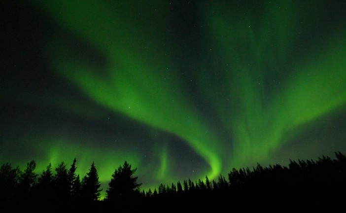 "Revontulet: la coda della volpe" alla sede di Lipu Cuneo