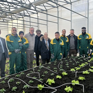 Nel carcere di Cuneo sette detenuti sono "liberi" di coltivare: la rieducazione passa dalla terra [FOTO]