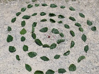 La spirale della natura La spirale della natura