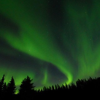 "Revontulet: la coda della volpe" alla sede di Lipu Cuneo