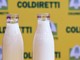 Latte, Coldiretti Cuneo: "Necessario valorizzare la produzione locale"