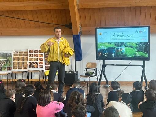 Il regno delle api conquista la scuola di Sale delle Langhe Il regno delle api conquista la scuola di Sale delle Langhe