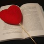 Buona lettura dal Caffè letterario Albedo di Bra con "Ritratto di dama" di Giorgia Penzo