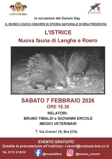 “L’istrice. Nuova fauna di Langhe e Roero”: se ne parla al Museo Craveri di Bra “L’istrice. Nuova fauna di Langhe e Roero”: se ne parla al Museo Craveri di Bra