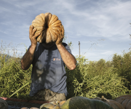 L'agricoltura e le sue storie in mostra a Margarita per la Sagra del Coj: arriva "Agrosfera", il grande racconto fotografico della filiera italiana