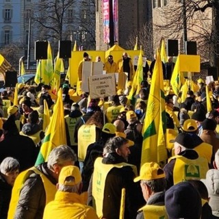 Una passata manifestazione di Coldiretti a Torino Una passata manifestazione di Coldiretti a Torino