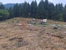 Moria di bovini ad Oncino: 41 i capi deceduti in due giorni Moria di bovini ad Oncino: 41 i capi deceduti in due giorni