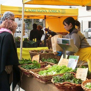 Immagine di repertorio Immagine di repertorio