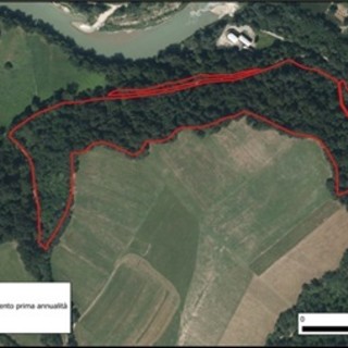 A Niella Tanaro  l'assemblea dell'Associazione Fondiaria Monregalese