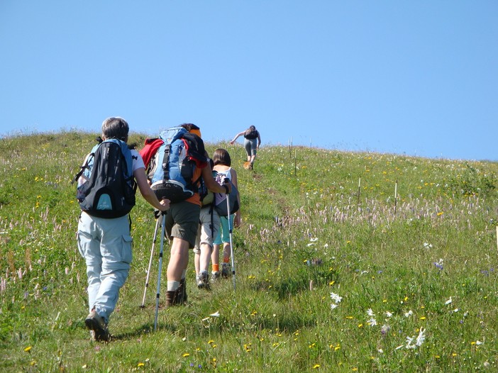 Le bellissime escursioni di agosto con l'accompagnatore naturalistico Marco Grillo Le bellissime escursioni di agosto con l'accompagnatore naturalistico Marco Grillo