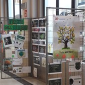 Dalla piantumazione alla mostra: gli studenti dell’’Arimondi Eula di Racconigi protagonisti della Festa dell’Albero Dalla piantumazione alla mostra: gli studenti dell’’Arimondi Eula di Racconigi protagonisti della Festa dell’Albero