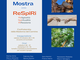 Arte e spiritualità alla Castagnata di Cervasca: oltre 50 artisti in mostra con “ReSpiRi” Arte e spiritualità alla Castagnata di Cervasca: oltre 50 artisti in mostra con “ReSpiRi”