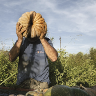 L'agricoltura e le sue storie in mostra a Margarita per la Sagra del Coj: arriva "Agrosfera", il grande racconto fotografico della filiera italiana L'agricoltura e le sue storie in mostra a Margarita per la Sagra del Coj: arriva "Agrosfera", il grande racconto fotografico della filiera italiana
