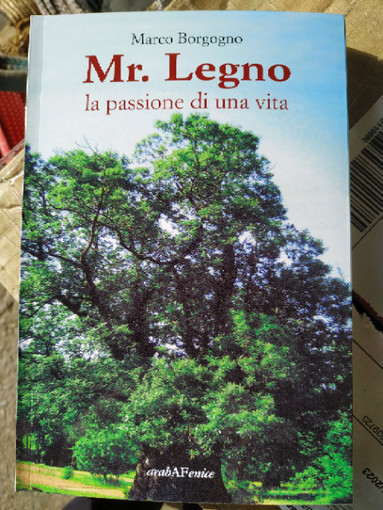 Il libro &quot;Mr.Legno&quot;