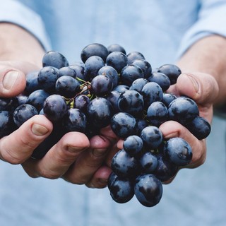A Bra arriva “Il Sabato del Vignaiolo”