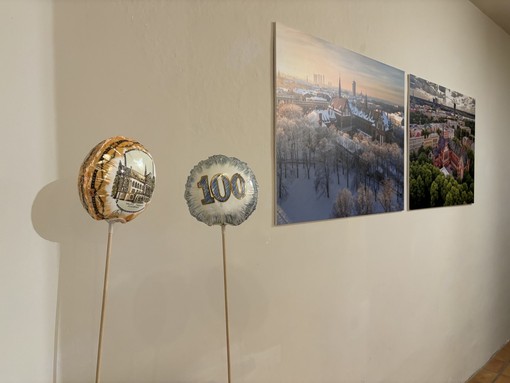 “Celebrazione alla fioritura”: passeggiata botanica al Museo della Ceramica di Mondovì