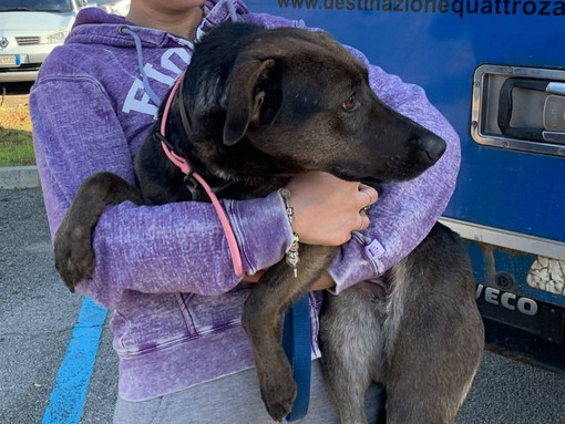 Maya è scomparsa a Caraglio: la sua nuova famiglia la sta cercando