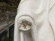 La mano mozzata alla statua della Madonna di Miroglio