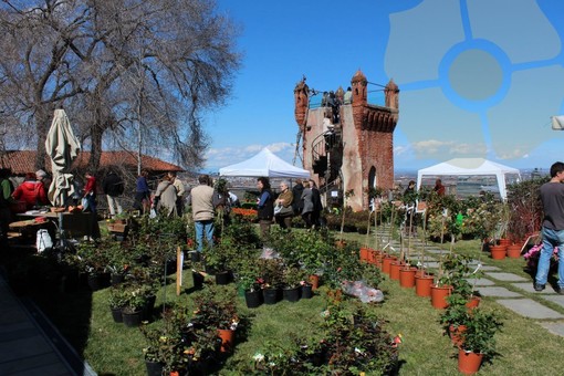 Nel Castello Rosso di Costigliole Saluzzo ritorna “Flora - Intorno alla natura” domenica e lunedì