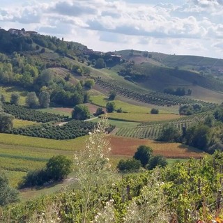 Mongardino entra nella famiglia dei Comuni Amis di Gite Fuori Porta in Piemonte: un nuovo angolo di Monferrato da scoprire Mongardino entra nella famiglia dei Comuni Amis di Gite Fuori Porta in Piemonte: un nuovo angolo di Monferrato da scoprire