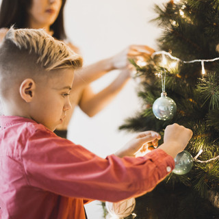 A Mondovì dopo le feste gli alberi di Natale tornano alla natura