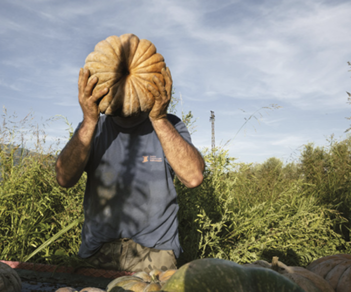 L'agricoltura e le sue storie in mostra a Margarita per la Sagra del Coj: arriva "Agrosfera", il grande racconto fotografico della filiera italiana L'agricoltura e le sue storie in mostra a Margarita per la Sagra del Coj: arriva "Agrosfera", il grande racconto fotografico della filiera italiana