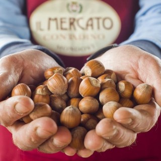 Bra, appuntamento con "Piazza Coldiretti, il buon cibo è di casa" Bra, appuntamento con "Piazza Coldiretti, il buon cibo è di casa"