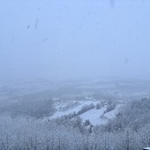 Immagine di repertorio