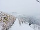 Allerta neve sull'albese fino al pomeriggio del 2 dicembre