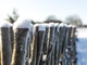 La Granda si prepara al ritorno della neve: ponte dell'Immacolata tra candidi fiocchi e foschia