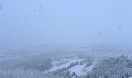 Immagine di repertorio