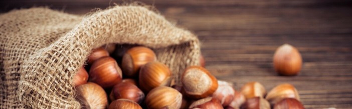 Dieci aziende rappresentano il Distretto del Cibo del Roero a Vinum 2026